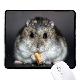 Dıythinker Siyah Hamster Hayvan Sıçan Evcil Hayvan Sevimli Yemek Kaymaz Fare Altlığı