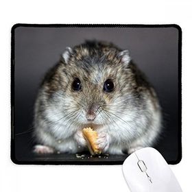 Dıythinker Siyah Hamster Hayvan Sıçan Evcil Hayvan Sevimli Yemek Kaymaz Fare Altlığı