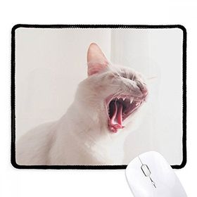 Dıythinker Siyah Hayvan Beyaz Şiddetli Kedi Fotoğrafı Kaymaz Fare Altlığı