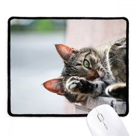 Dıythinker Siyah Hayvan Etkinliği Kedi Fotoğrafı Resim Kaymaz Fare Altlığı