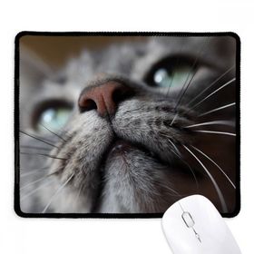 Dıythinker Siyah Hayvan Görünümlü Kedi Fotoğrafı Kaymaz Fare Altlığı