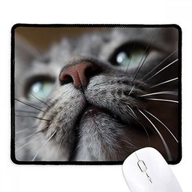 Dıythinker Siyah Hayvan Görünümlü Kedi Fotoğrafı Kaymaz Fare Altlığı