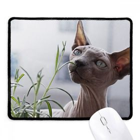 Dıythinker Siyah Hayvan Gri İnce Kedi Fotoğrafı Kaymaz Fare Altlığı