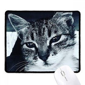 Dıythinker Siyah Hayvan Havalı Gri Kedi Fotoğrafı Kaymaz Fare Altlığı