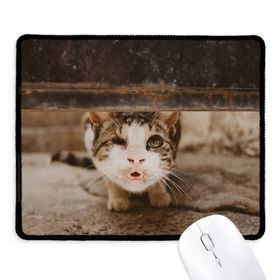 Dıythinker Siyah Hayvan Komik Kedi Fotoğraf Çekimi Kaymaz Fare Altlığı