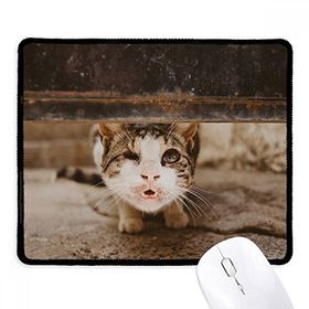 Dıythinker Siyah Hayvan Komik Kedi Fotoğraf Çekimi Kaymaz Fare Altlığı