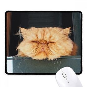 Dıythinker Siyah Hayvan Komik Sarı Kedi Çekimi Kaymaz Fare Altlığı
