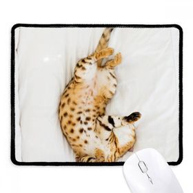 Dıythinker Siyah Hayvan Ocelot Kedi Fotoğraf Çekimi Kaymaz Fare Altlığı