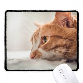 Dıythinker Siyah Hayvan Saf Kedi Fotoğraf Resim Kaymaz Fare Altlığı