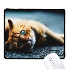Dıythinker Siyah Hayvan Saf Mavi Gözlü Kedi Fotoğrafı Kaymaz Fare Altlığı