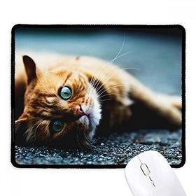Dıythinker Siyah Hayvan Saf Mavi Gözlü Kedi Fotoğrafı Kaymaz Fare Altlığı