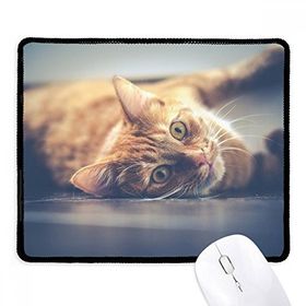 Dıythinker Siyah Hayvan Sarı Kedi Fotoğraf Resim Kaymaz Fare Altlığı