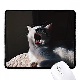 Dıythinker Siyah Hayvan Yawn Kedi Fotoğraf Çekimi Kaymaz Fare Altlığı