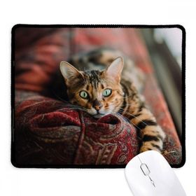 Dıythinker Siyah Hayvan Yeşil Gözlü Kedi Fotoğrafı Kaymaz Fare Altlığı
