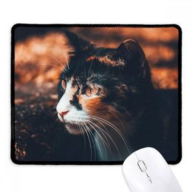 Dıythinker Siyah Kahverengi Kedi Stare Profil Hayvan Vintage Kaymaz Fare Altlığı