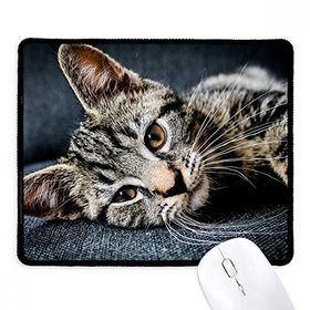 Dıythinker Siyah Kedi Çizgili Kedi Hayvan Rahatlama Sevimli Kaymaz Fare Altlığı