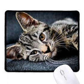 Dıythinker Siyah Kedi Çizgili Kedi Hayvan Rahatlama Sevimli Kaymaz Fare Altlığı