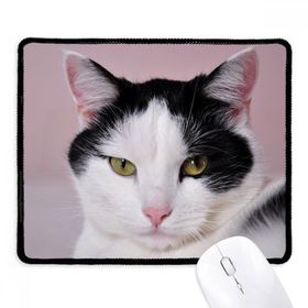 Dıythinker Siyah Kedi Hayvan Evcil Hayvan Smokin Billicat Kaymaz Fare Altlığı