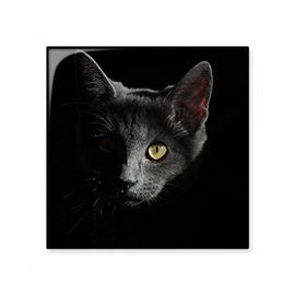 Dıythinker Siyah Kedi Hayvan Vahşi Görünüş Koyu Seramik 10x10 cm Seramik Karo