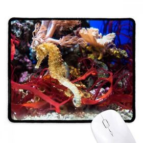 Dıythinker Siyah Okyanus Derin Su Mavi Hippocampus Su Kaymaz Fare Altlığı