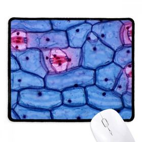 Dıythinker Siyah Plant Science Bioplast Mikrokozmik Desen Kaymaz Fare Altlığı