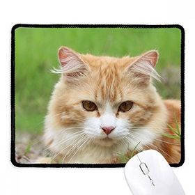 Dıythinker Siyah Sarı Çizgili Kedi Stare Evcil Hayvan Kaymaz Fare Altlığı