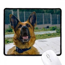 Dıythinker Siyah Yakışıklı Köpek Evcil Hayvan Fotoğrafçılığı Resim Kaymaz Fare Altlığı