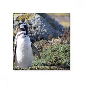 Dıythinker Stand Güney Penguen Spheniscidaepicture Seramik Bisque Fayans 10x10 cm Seramik Karo
