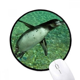 Dıythinker Su Güney Penguen Bilim Doğa Resim Yuvarlak Kaymaz Mouse Pad