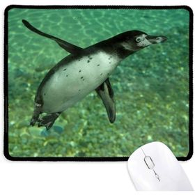Dıythinker Su Güney Penguen Bilim Doğa Resmi Kaymaz Mouse Pad