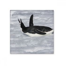 Dıythinker Su Siyah Antarktik Penguen Resim 20x20 cm Seramik Karo
