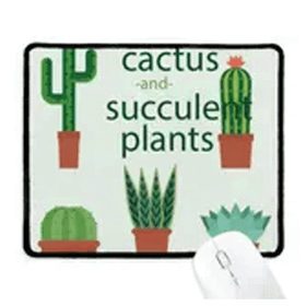 Dıythinker Succulents Saksı Bitki Kaktüs İllüstrasyon Kaymaz Mouse Pad