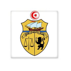 Dıythinker Tunus Asya Ulusal Amblem 20x20 cm Seramik Karo