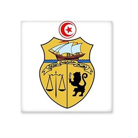 Dıythinker Tunus Asya Ulusal Amblem 20x20 cm Seramik Karo