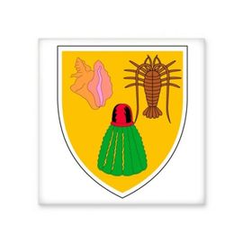 Dıythinker Turks ve Caicos Adaları Ulusal Amblem Seramik 10x10 cm Seramik Karo