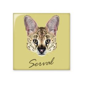 Dıythinker Uzun Gözlü Benekli Vahşi Serval Hayvan 15x15 cm Seramik Karo