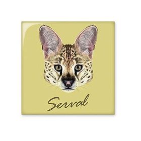 Dıythinker Uzun Gözlü Benekli Vahşi Serval Hayvan 15x15 cm Seramik Karo