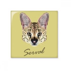 Dıythinker Uzun Gözlü Benekli Vahşi Serval Hayvan 20x20 cm Seramik Karo