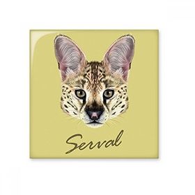 Dıythinker Uzun Gözlü Benekli Yabani Serval Hayvan Seramik 10x10 cm Seramik Karo