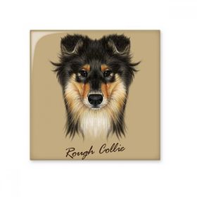 Dıythinker Uzun Saçlı Kaba Collie Evcil Hayvan Hayvan 10x10 cm Seramik Karo