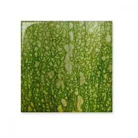 Dıythinker Yeşil Balkabağı Soyulmuş Makro Fotoğraf Desenleri 20x20 cm Seramik Karo