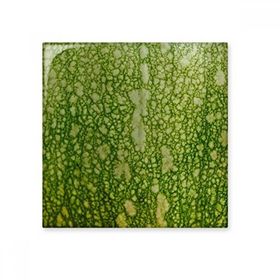 Dıythinker Yeşil Balkabağı Soyulmuş Makro Fotoğraf Desenleri 20x20 cm Seramik Karo