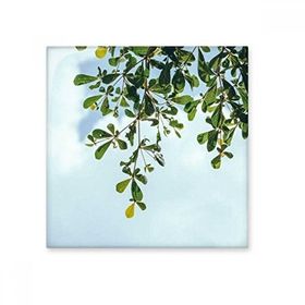 Dıythinker Yeşil Yapraklar Mavi Gökyüzü 20x20 cm Seramik Karo