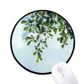 Dıythinker Yeşil Yapraklar Mavi Gökyüzü Yuvarlak Kaymaz Mouse Pad
