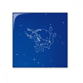 Dıythinker Yıldız Evren Boğa Takımyıldızı Desenli 10x10 cm Seramik Karo