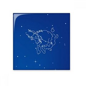 Dıythinker Yıldız Evren Boğa Takımyıldızı Desenli 10x10 cm Seramik Karo