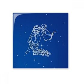 Dıythinker Yıldız Evren Kova Takımyıldızı Desenli Seramik Biske Fayans 20x20 cm Seramik Karo