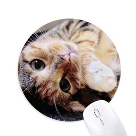 Dıythinker Yuvarlak Çizgili Kitty Cat Relax Hayvan Sevimli Kaymaz Kauçuk Fare Altlığı