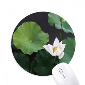 Dıythinker Yuvarlak Taze Lotus Yaprağı Bitki Resmi Doğa Kaymaz Kauçuk Fare Altlığı