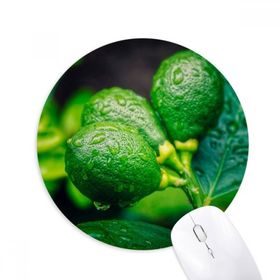 Dıythinker Yuvarlak Taze Meyveler Limon Resim Fotoğrafçılığı Kaymaz Kauçuk Fare Altlığı